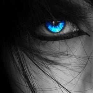 Meet your Posher, Haytham